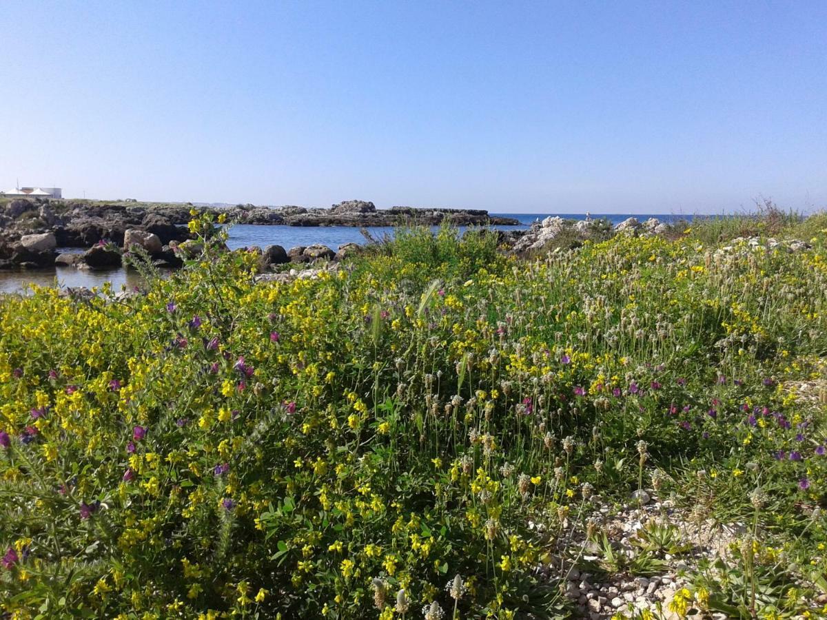 La Porta Di Mare B&B Nardò Eksteriør billede